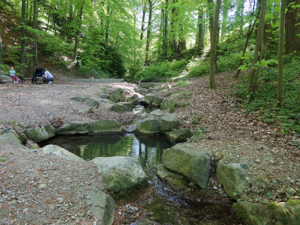 Sägebach