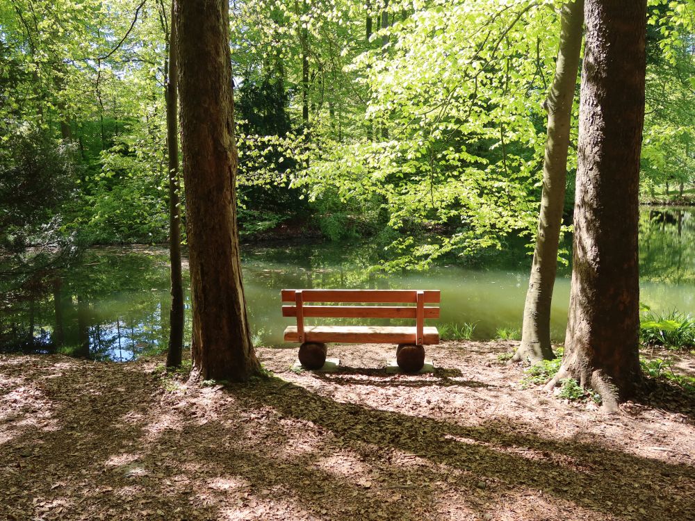 Sitzbank am Sägeweiher