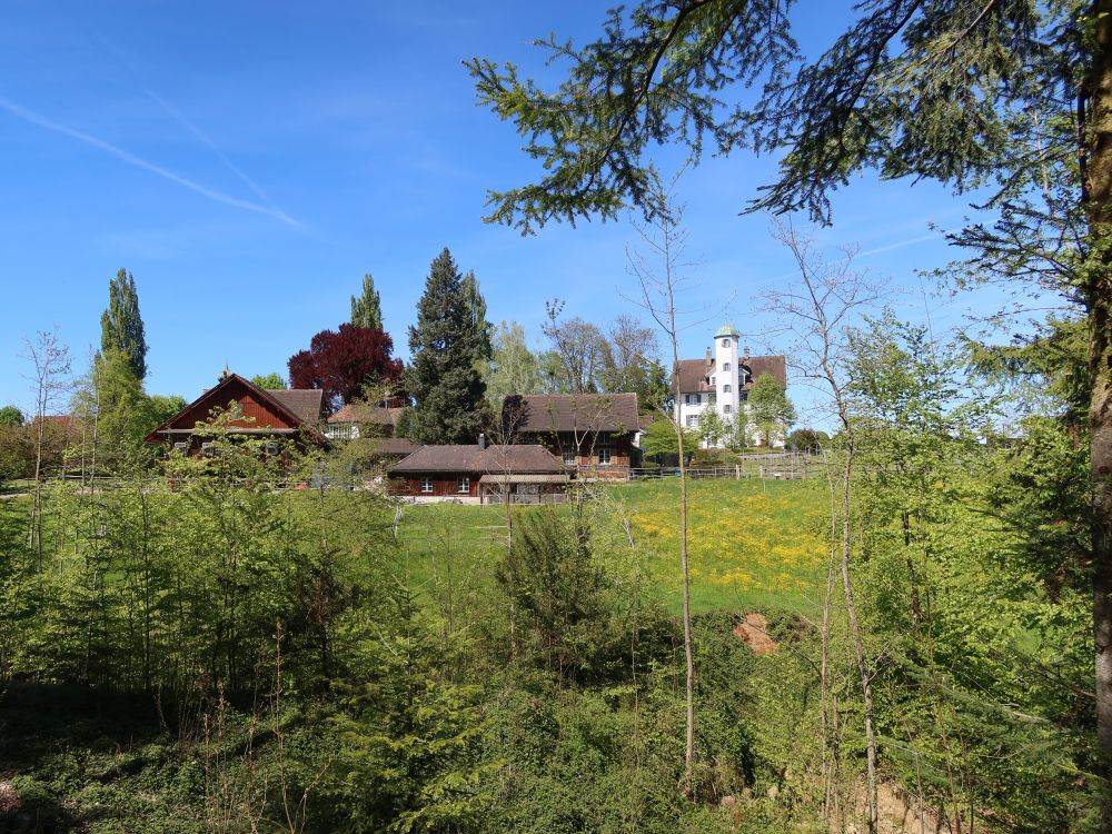Blick zum Hahnberg