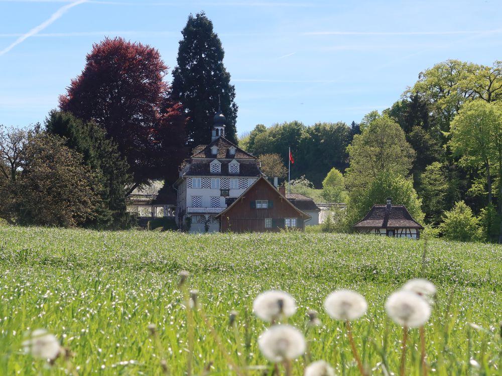 Schloss Pfauenmoos