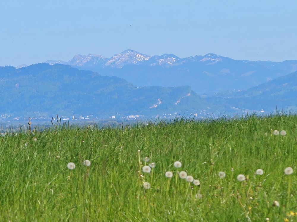 Blick Richtung Hochgrat