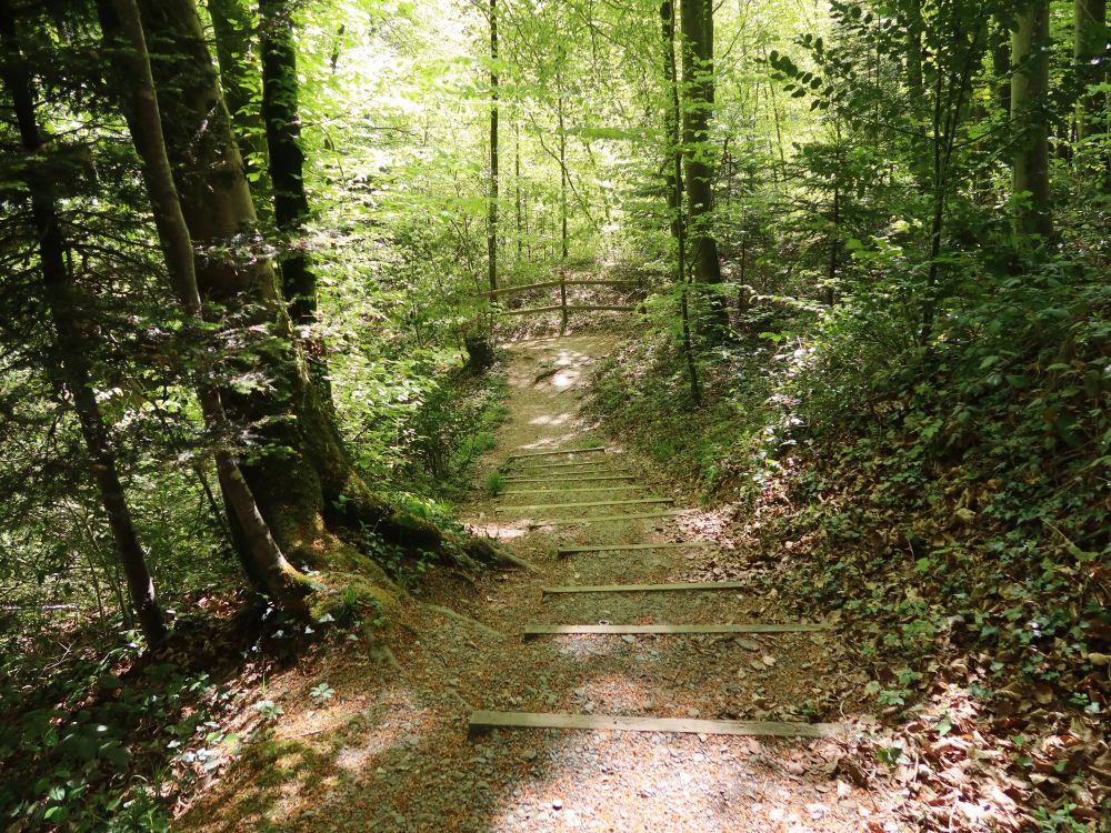 Treppe am Gallus weg