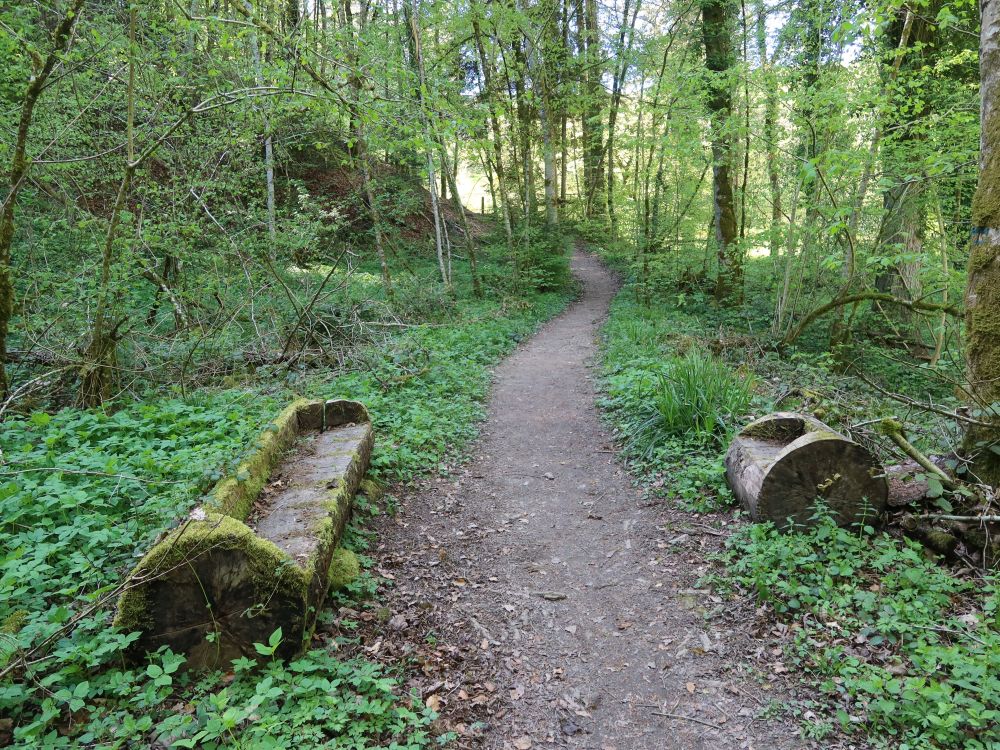 Sitzbänke am Gallusweg