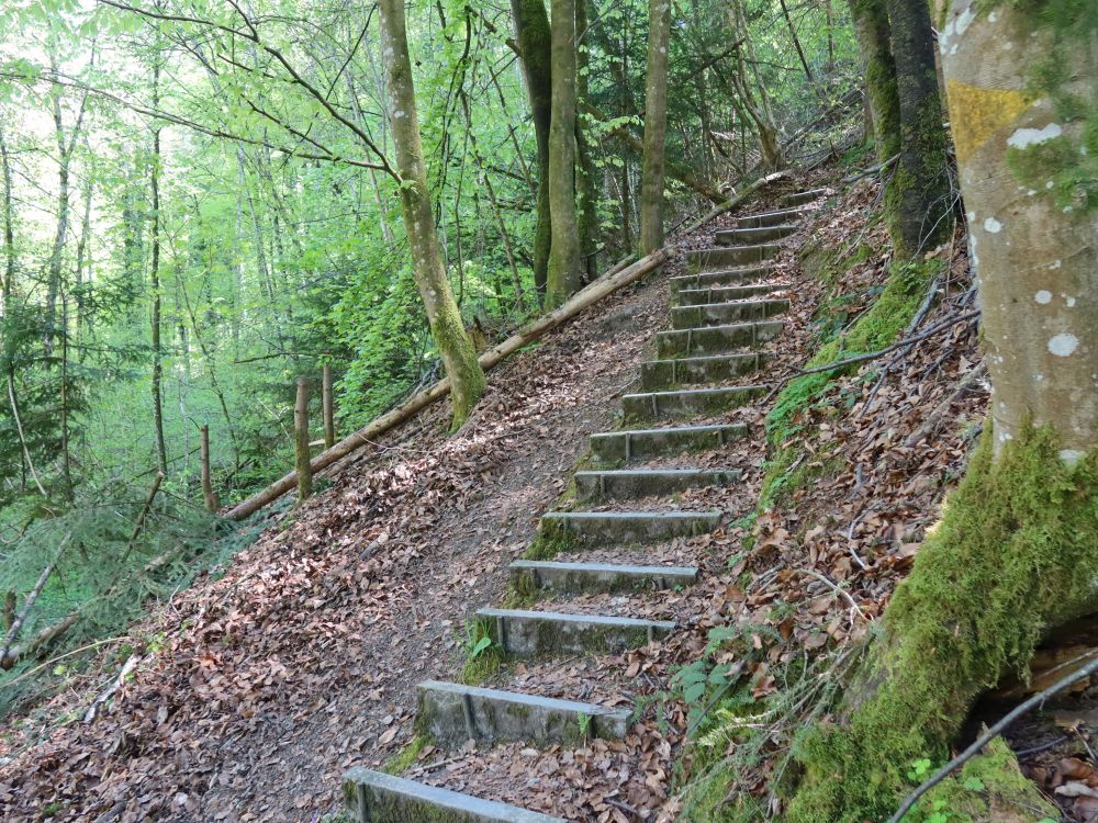 Treppe am Gallusweg