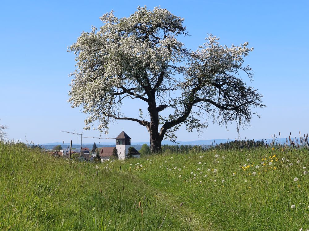 Kirche von Berg