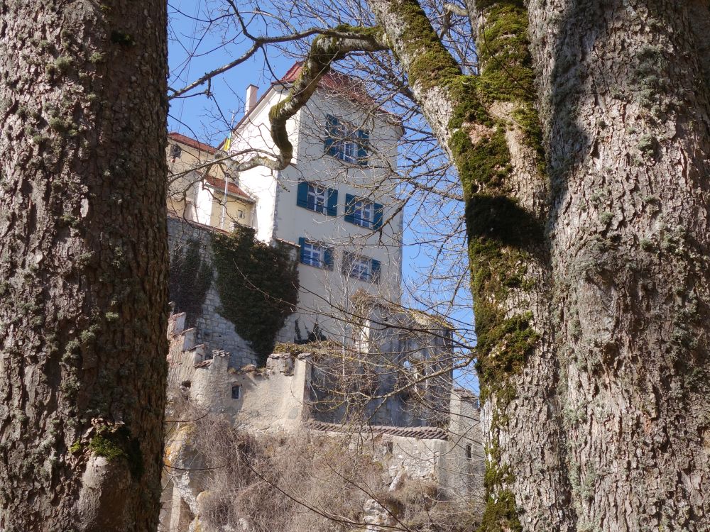 Schloss Bronnen