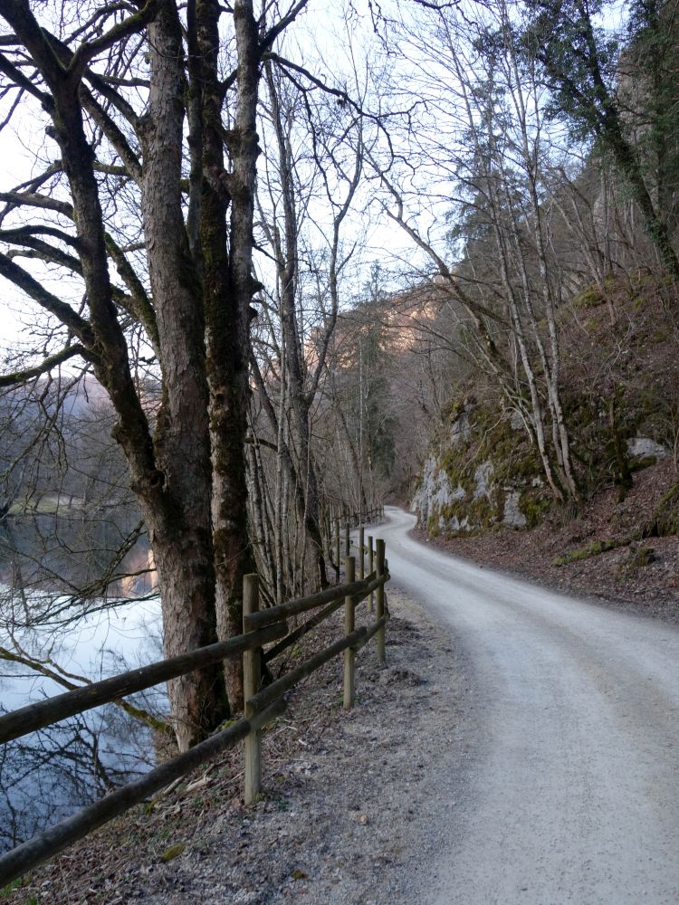 Donauweg zum Jägerhaus