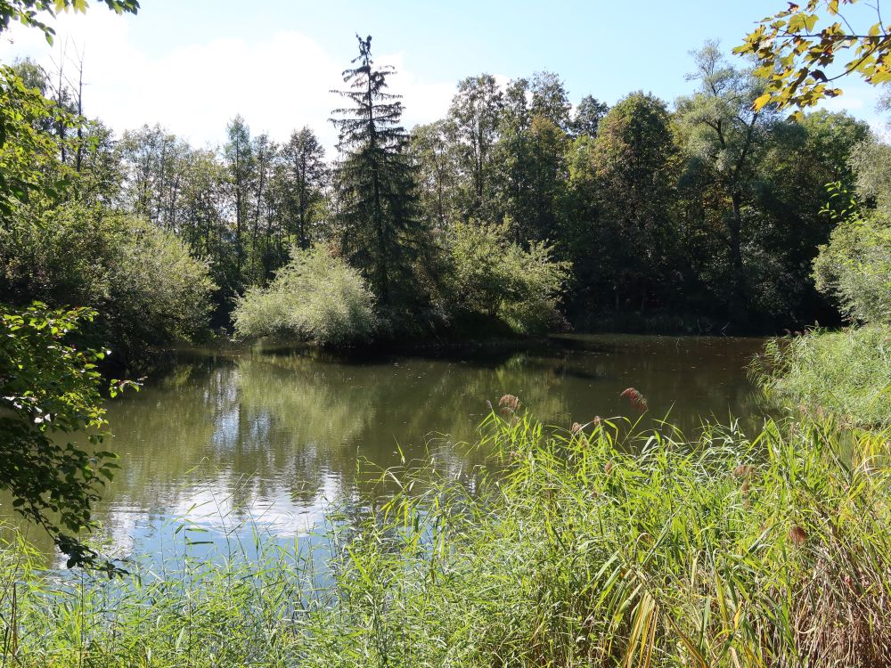 Biotop Studenau