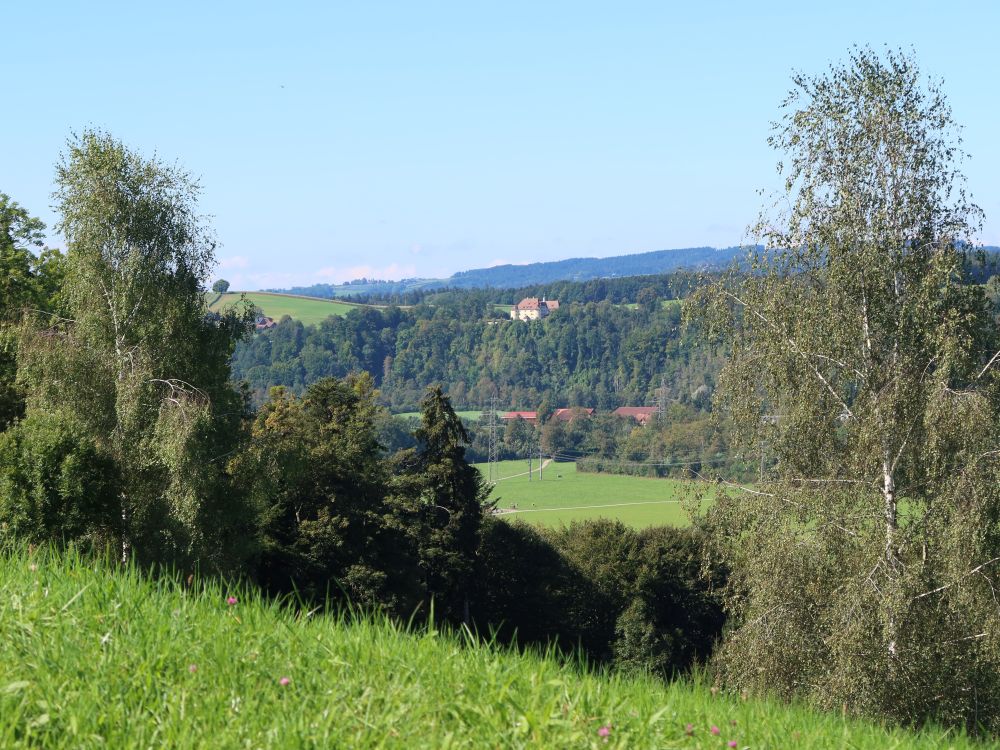 Blick Richtung Kloster St. Gallenberg