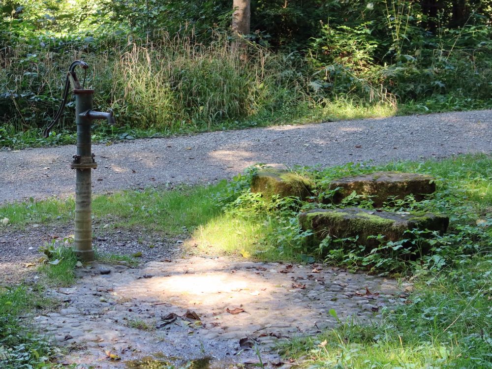 Brunnen im Bürerwald