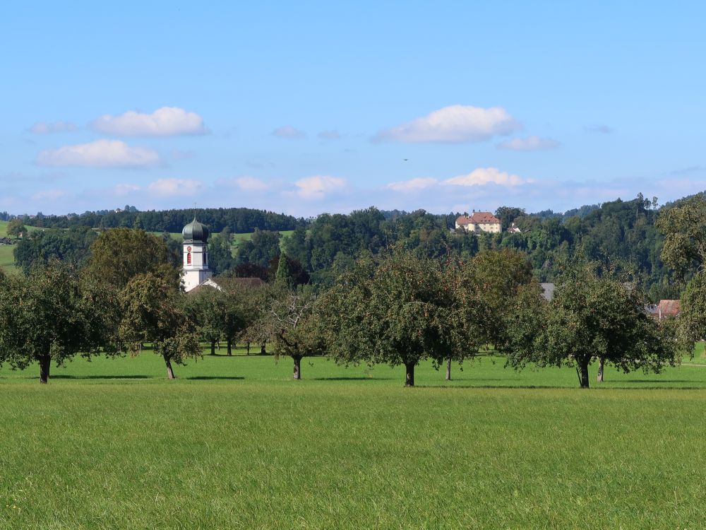 Kirchturn Oberbüren und Kloster St. Gallenberg