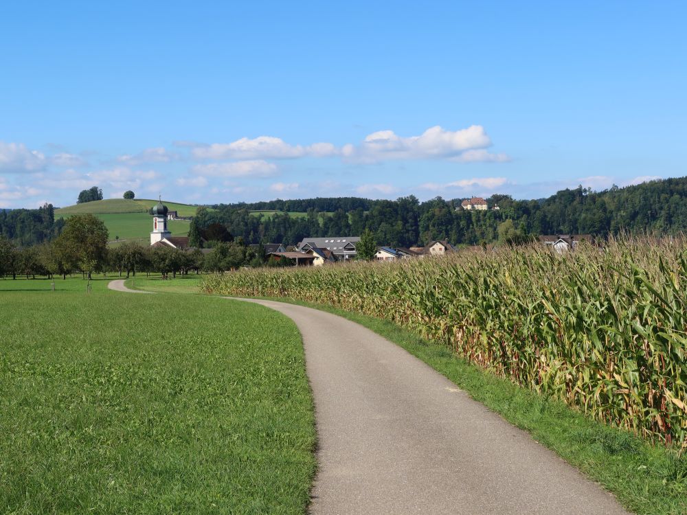 Kirchturn Oberbüren und Kloster St. Gallenberg