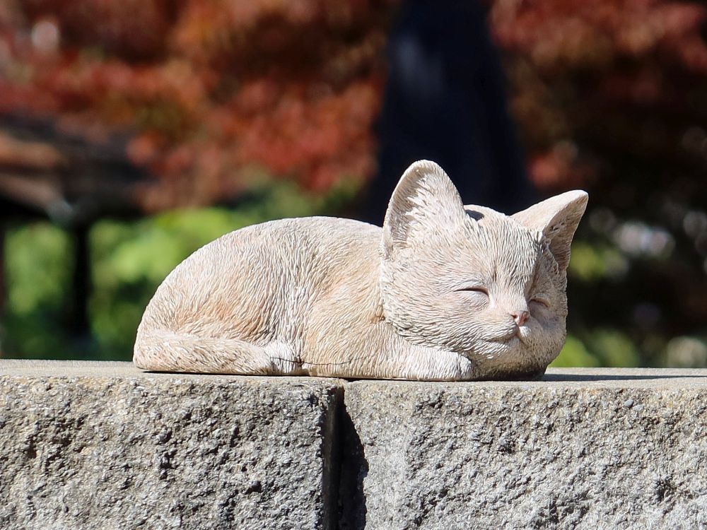 steinerne Katze