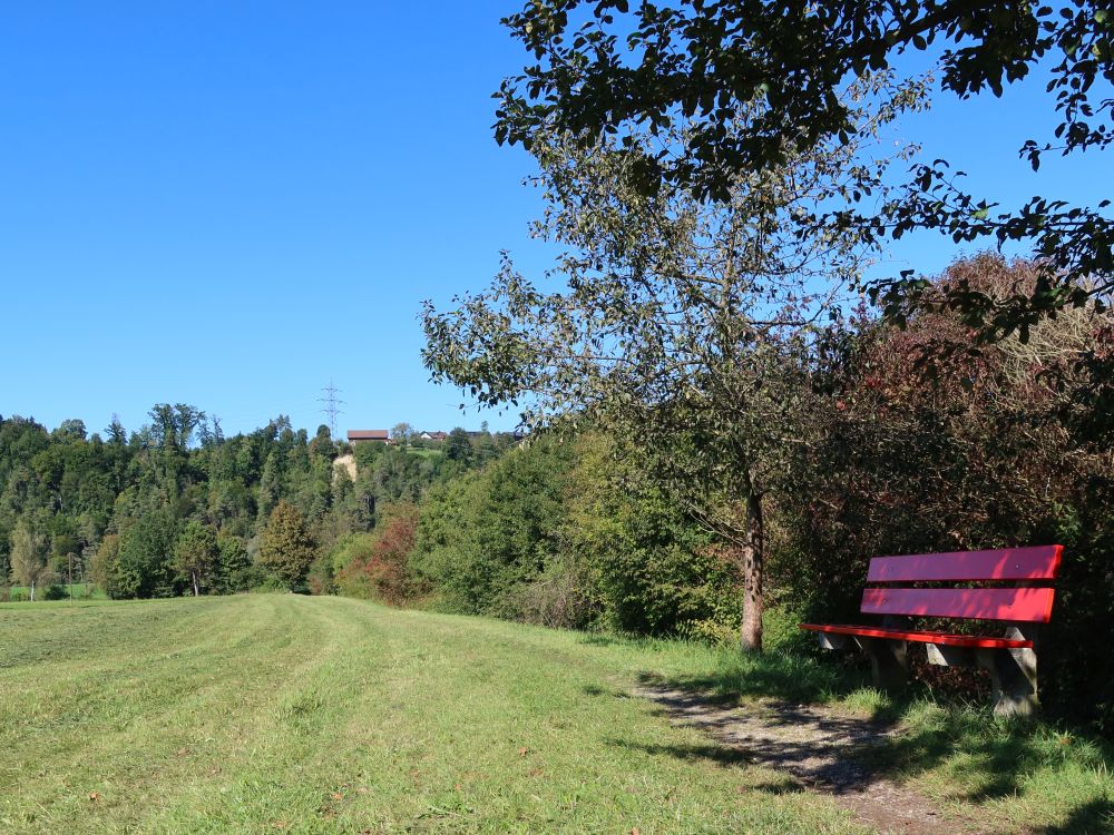 Sitzbank am Wiesenpfad