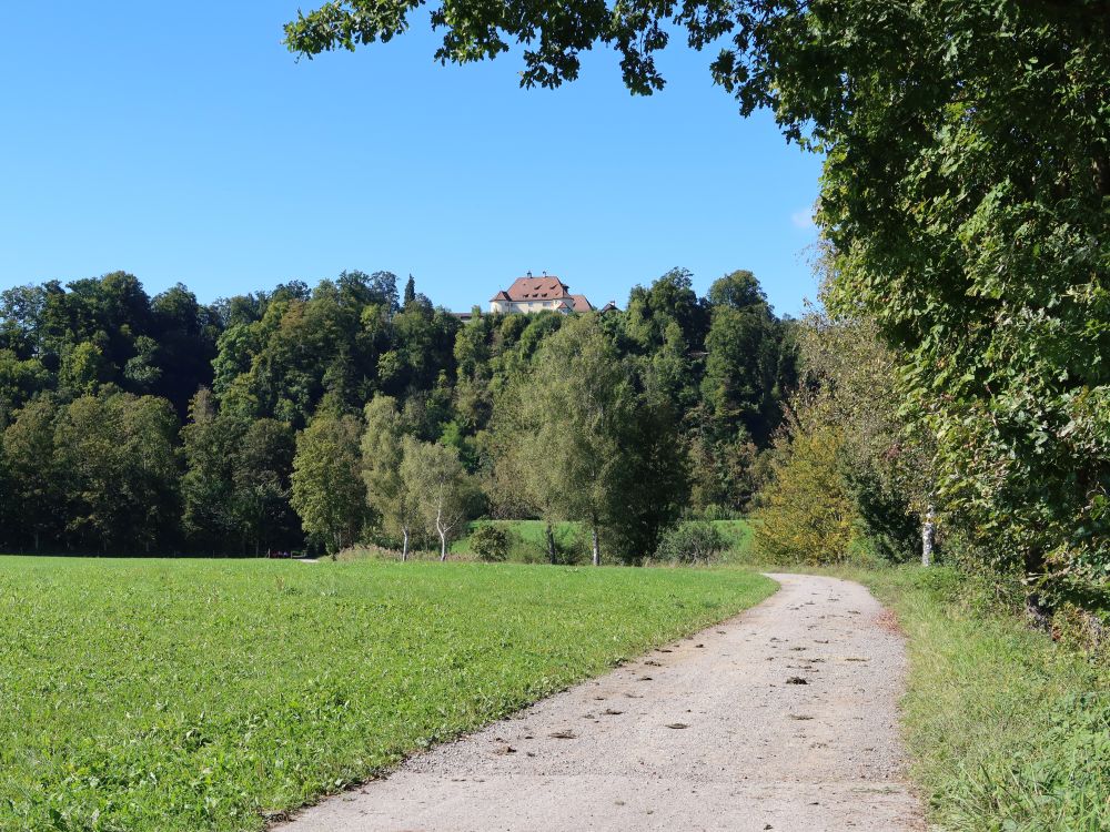 Rohrwisenweg