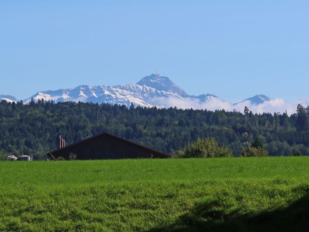 Säntis