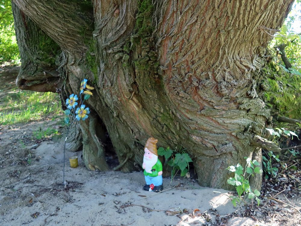 Gartenzwerg unterm Baum