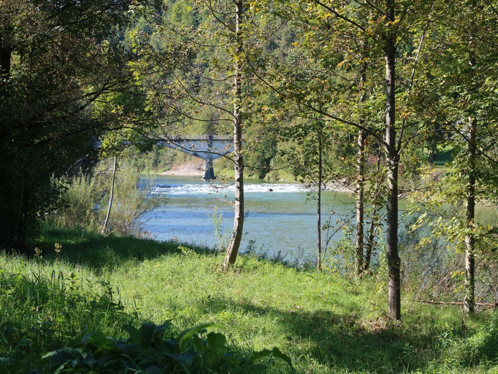 Thur mit Billwilerbrücke