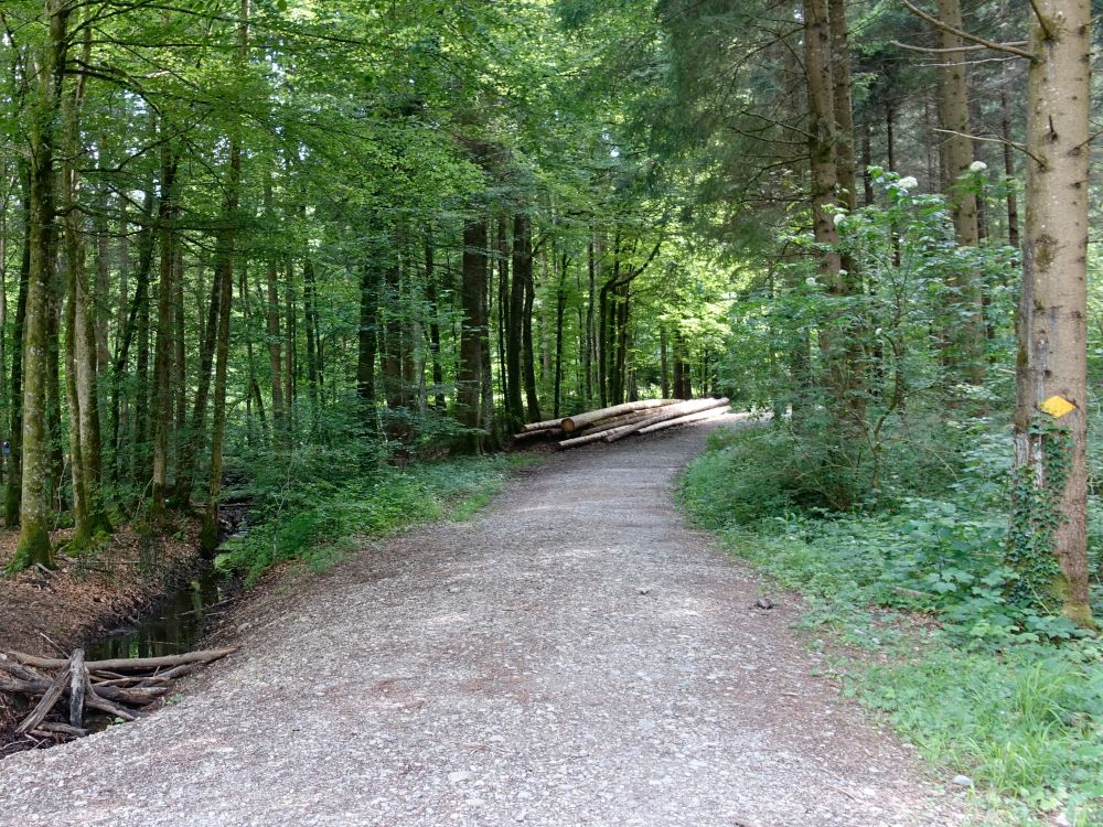 Römerweg