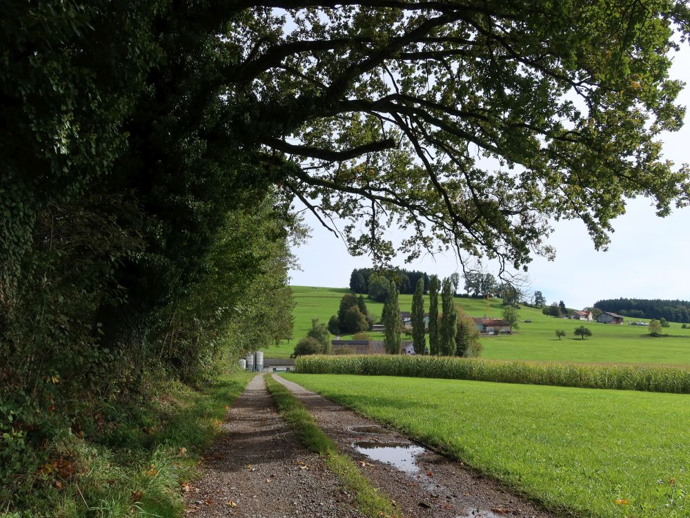 Blick Richtung Vormülenen