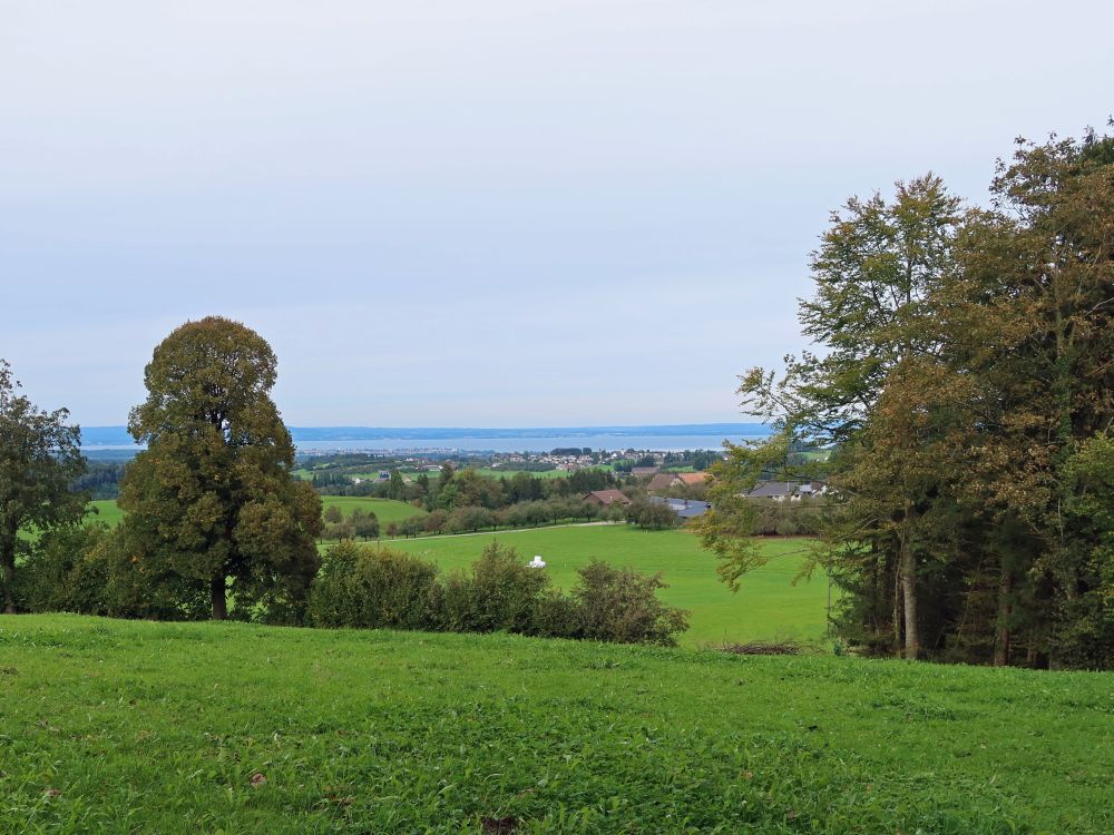 Blick Richtung Bodensee