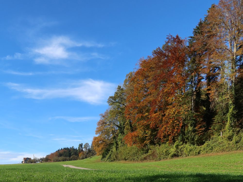 Herbstfarben