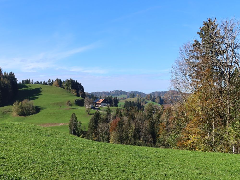 Blick zum Bauernhof Schärliwald 4