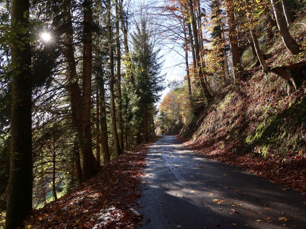 Waldweg