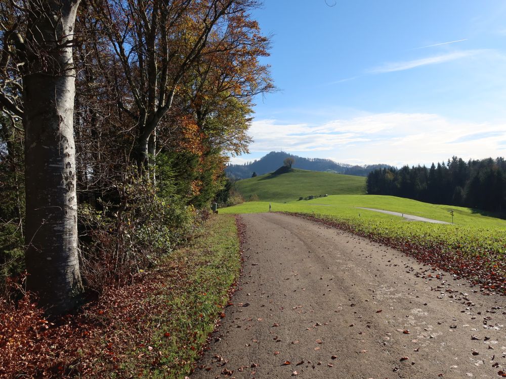 Blick Richtung Hörnli