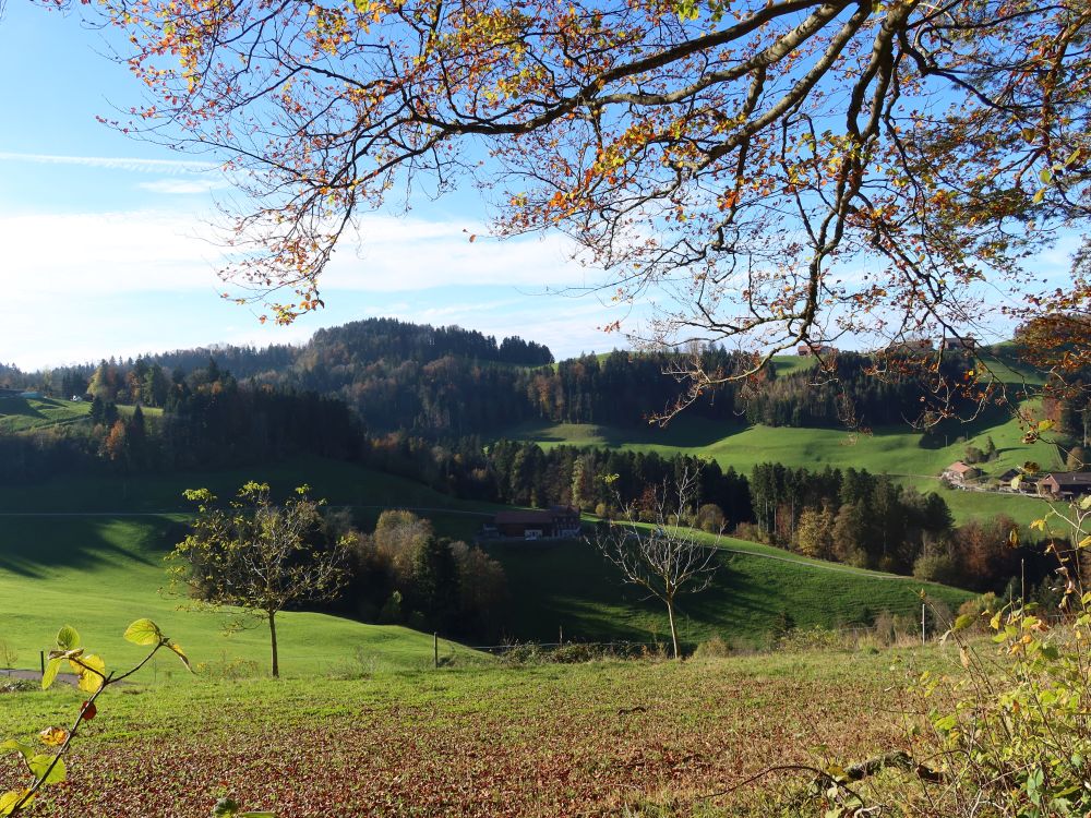 Herbstlandschaft