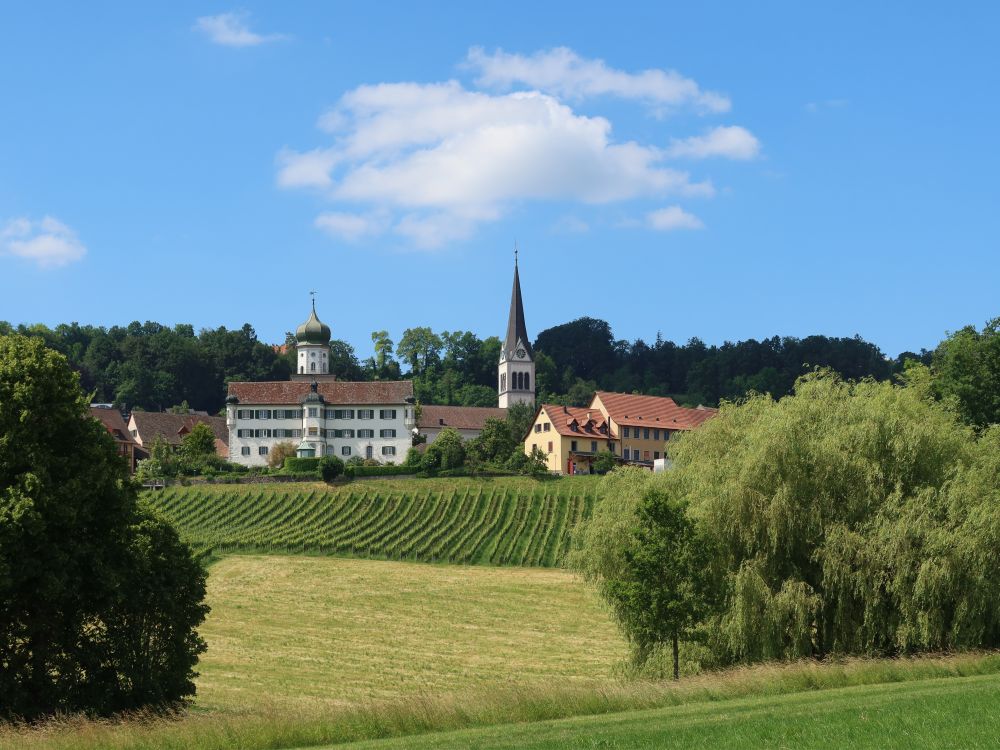 Schloss und Kirche von Herdern