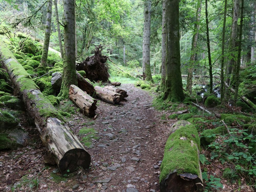 Teichschlucht