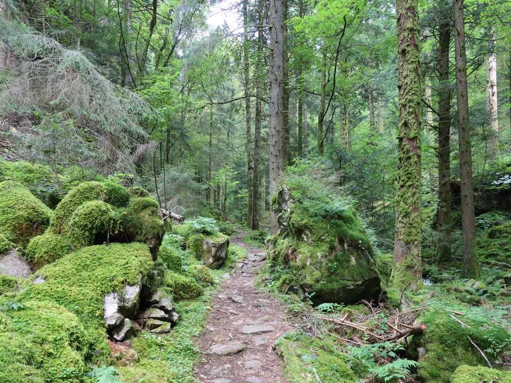 Teichschlucht