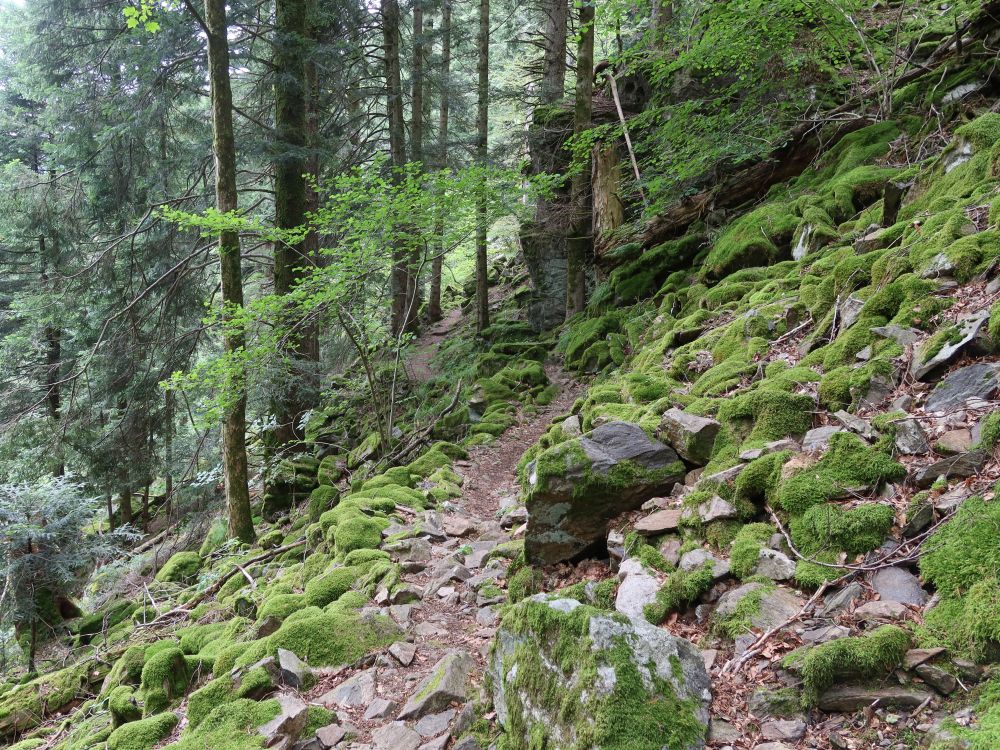 Karrenweg zum Hintereck