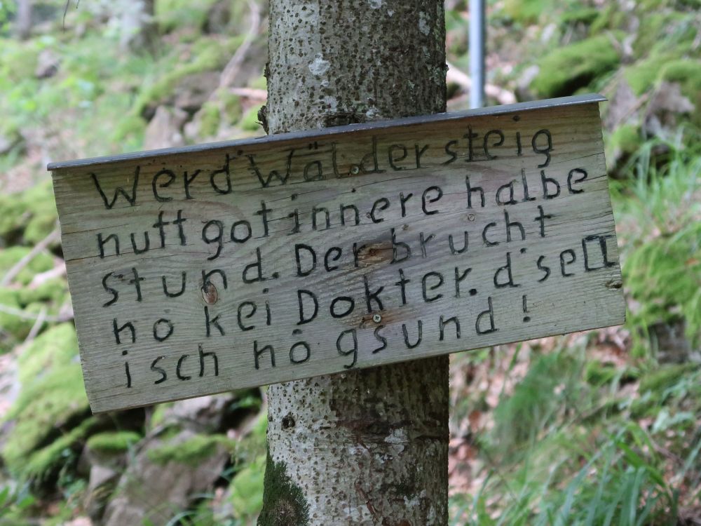 Kluger Spruch