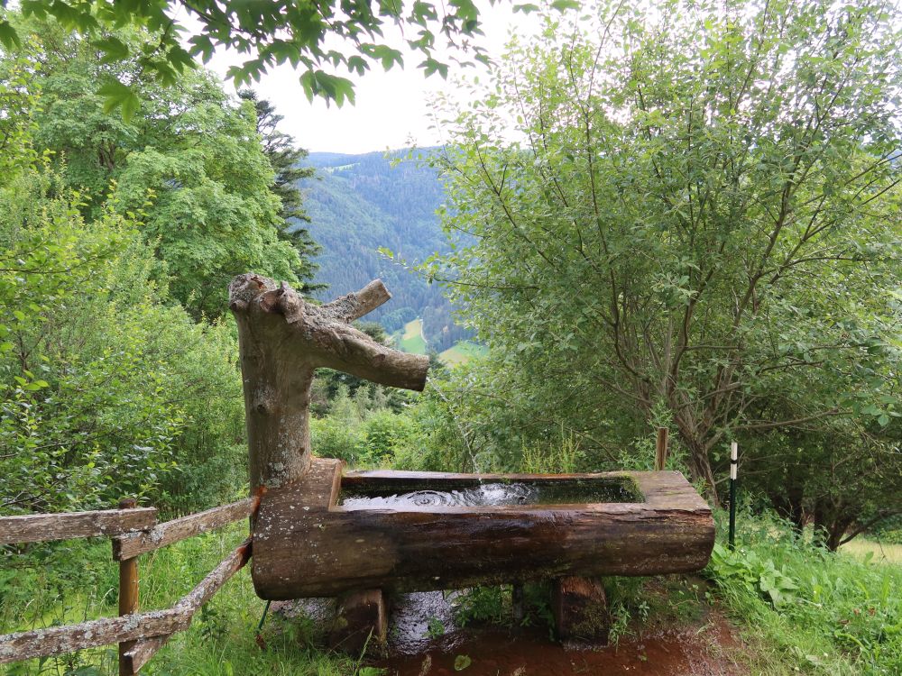 Brunnen