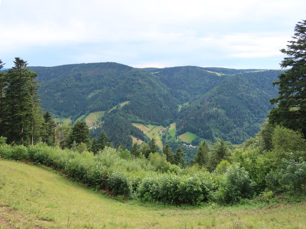 Blick ins Tal