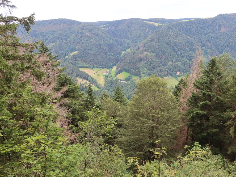 Blick ins Tal