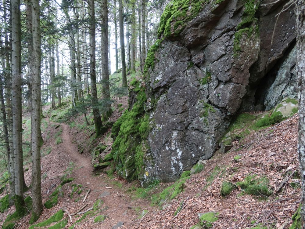 Waldpfad am Fels