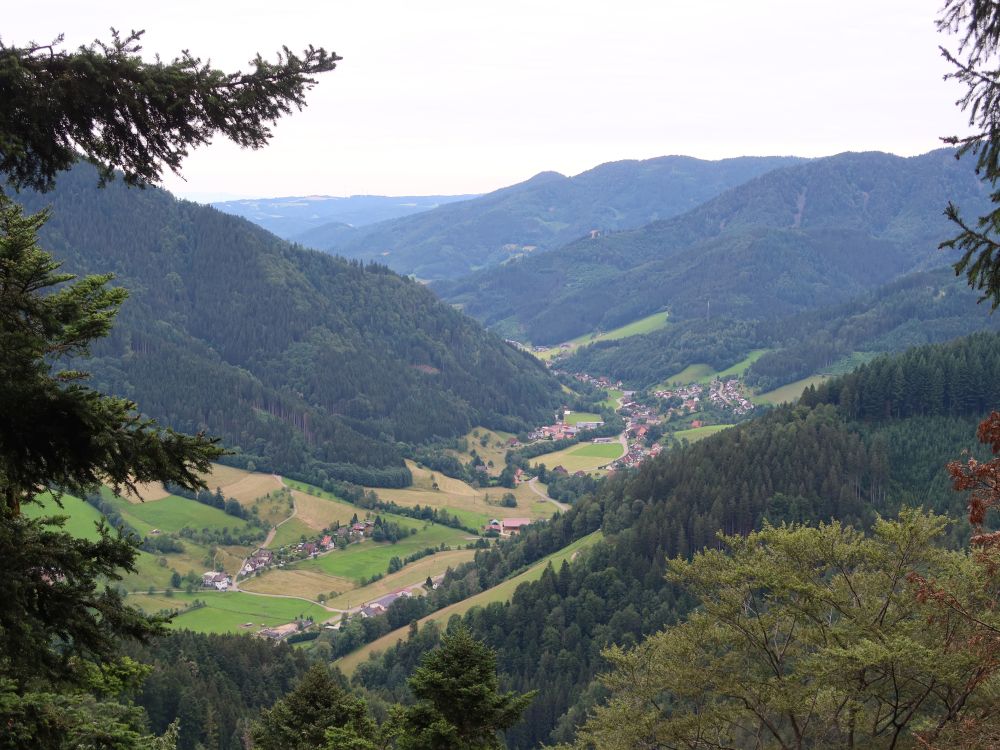 Blick Richtung Kasperhof