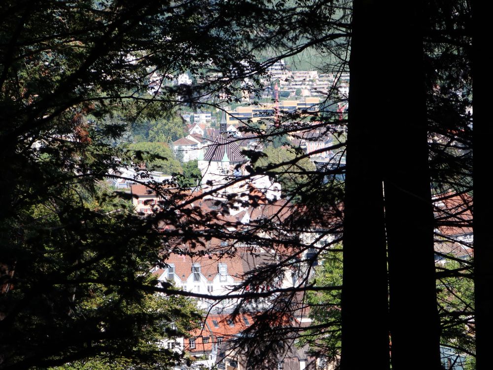 Stadtturm Baden zwischen den Bäumen