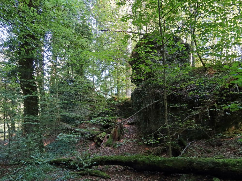 Naturwaldreservat Teufelskeller