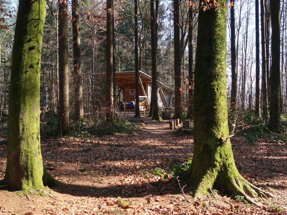 Waldhütte SRF