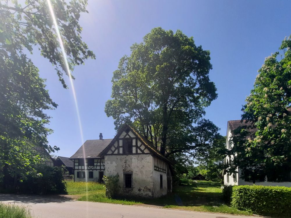 Häuser in Alten