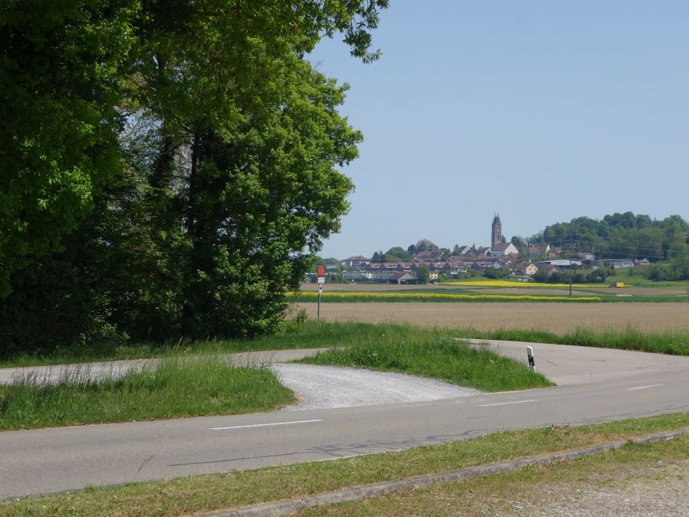 Blick Richtung Kleinandelfingen