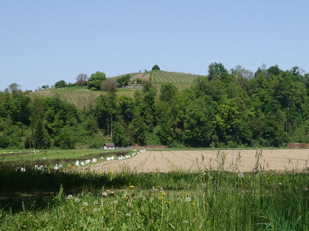 Hummenberg
