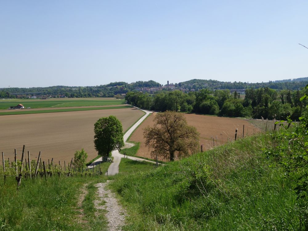 Blick Richtung Kleinandelfingen