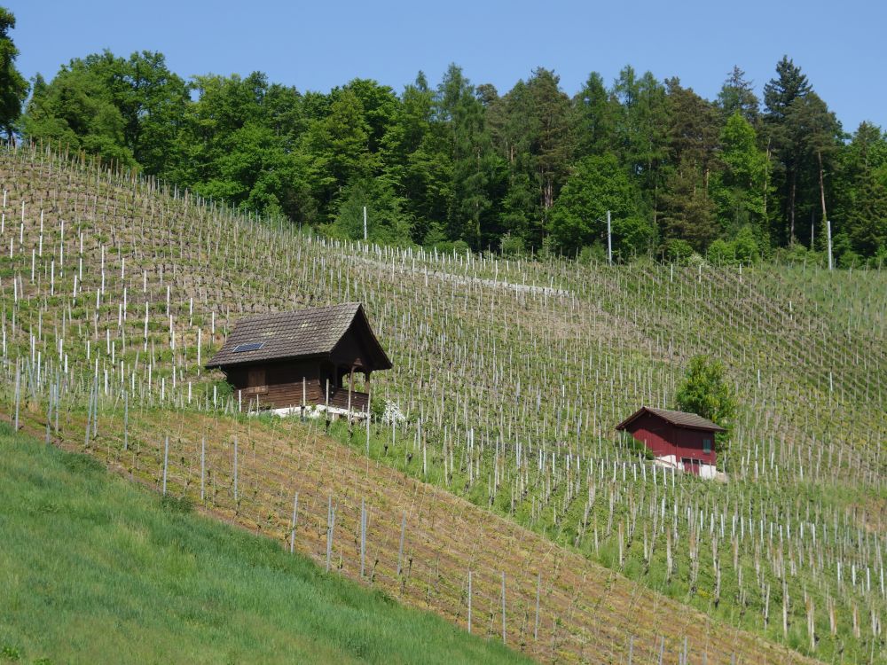 Hütten im Weinberg
