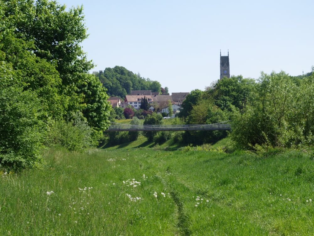 Blick Richtung Kleinandelfingen