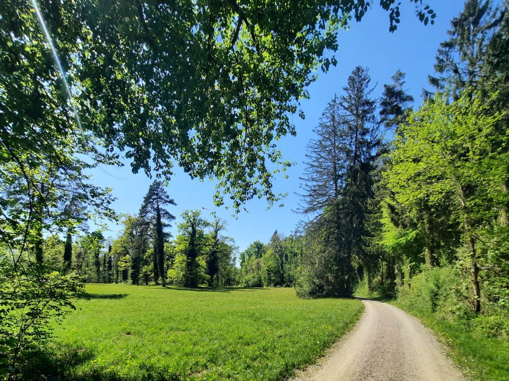 Hofhaldenweg